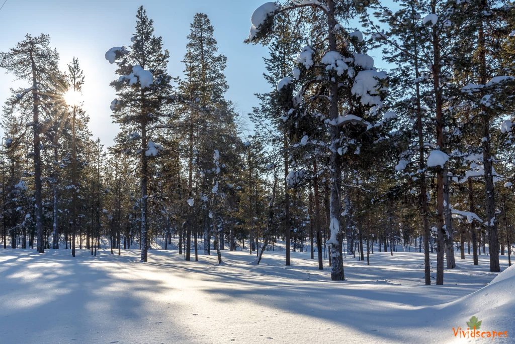 Snow filled landscapes in Ivalo