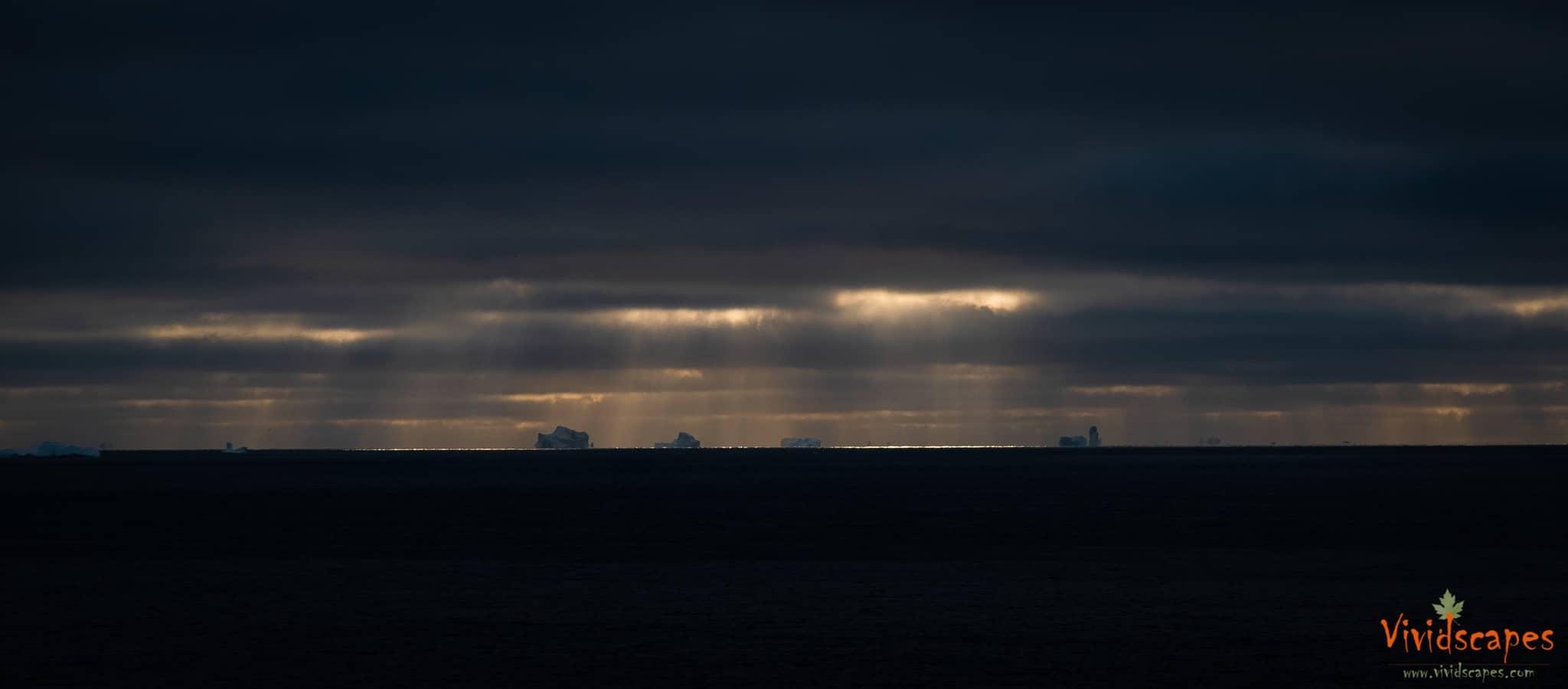 Nature’s best Iceberg Exhibition now open