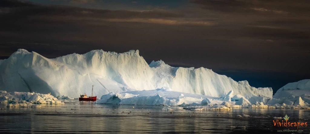 Icebergs in Greenland