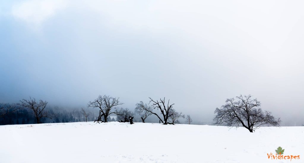 Xue Xiang National forest