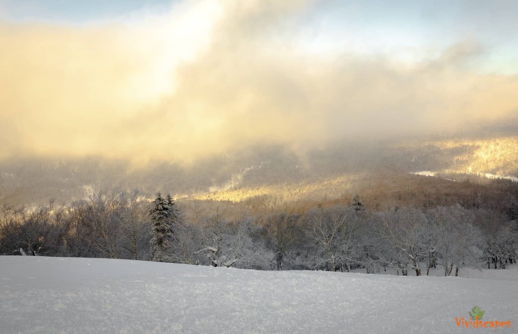 Xue Xiang National forest