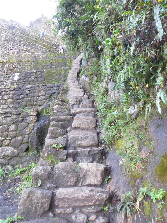 Steep narrow steps make it very trec