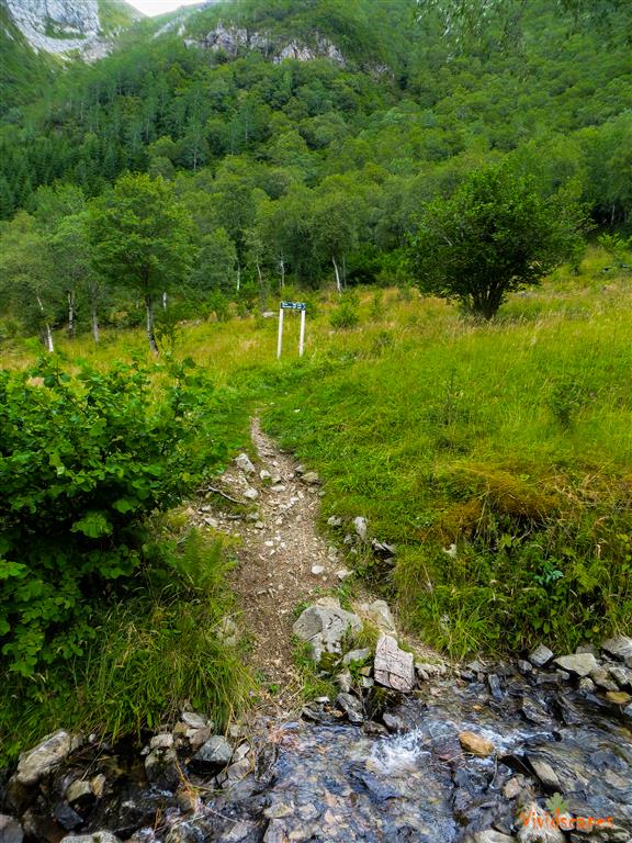 Lush green and rugged trail
