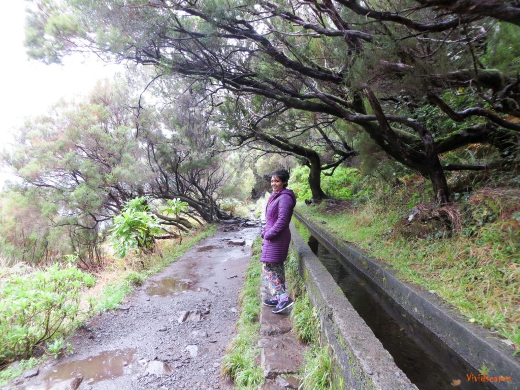 Along the wet trail