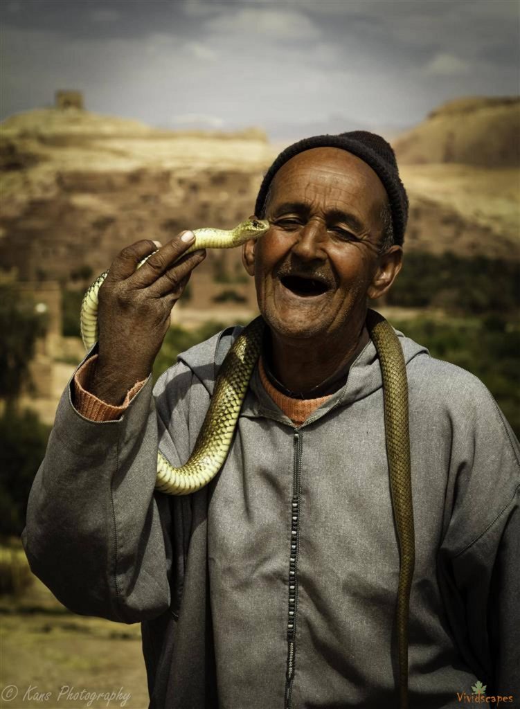 Charming snake Charmer