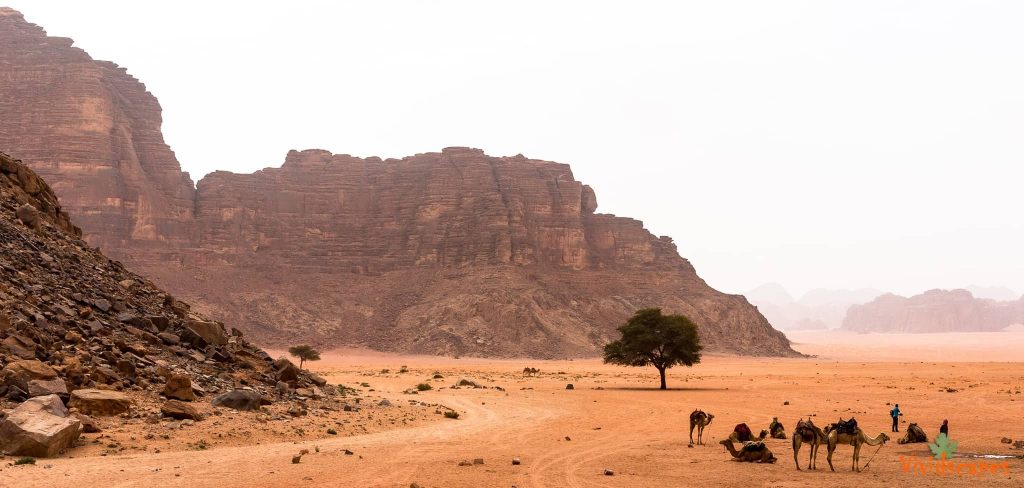 Wadi Rum Desert