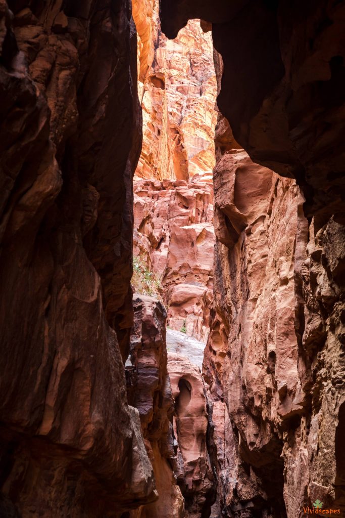 Wadi Rum Desert