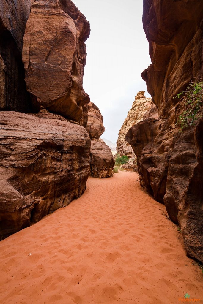 Wadi Rum Desert