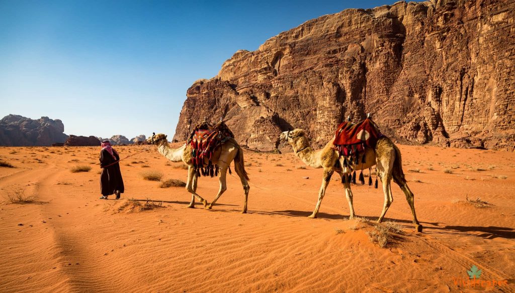 Wadi Rum Desert