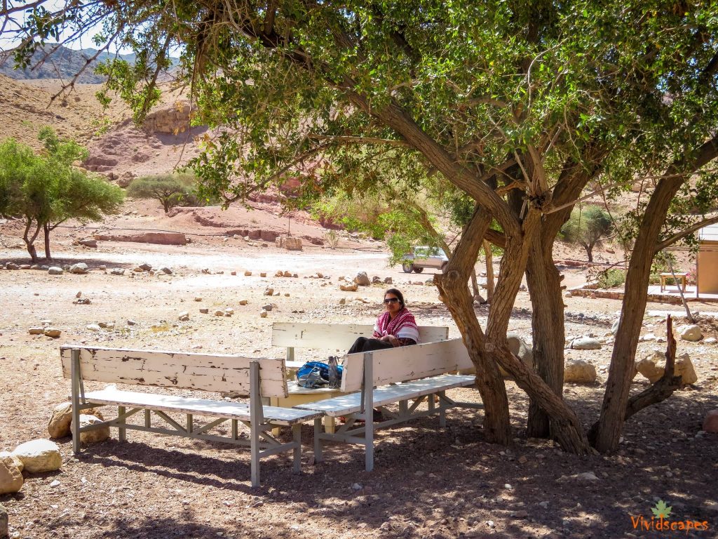 Feynan Eco Lodge