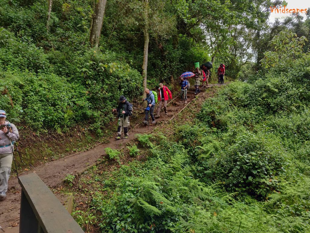 Londorossi Gate to Mti Mkubwa