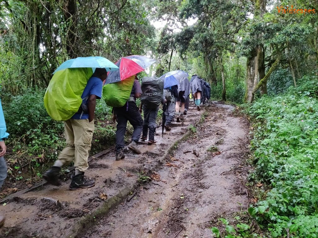 Londorossi Gate to Mti Mkubwa