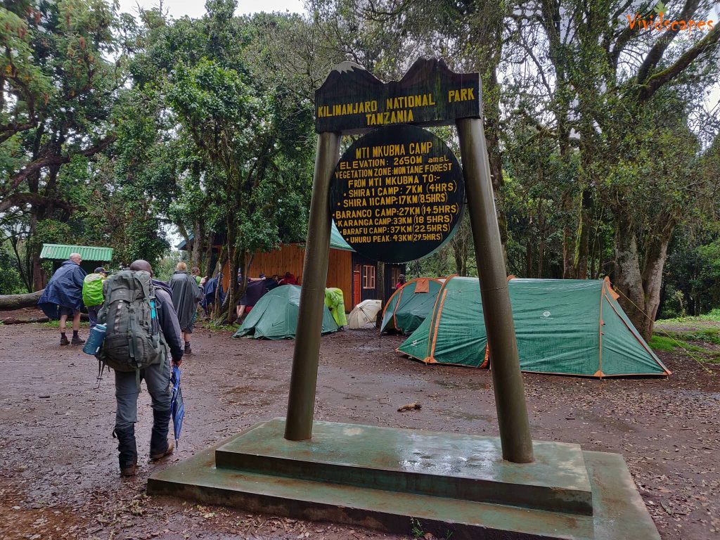 Mti Mkubwa camp