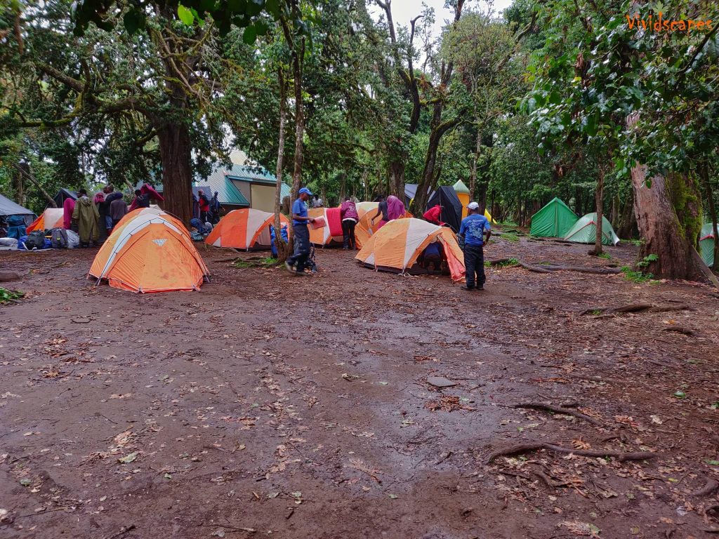 Mti Mkubwa campsite