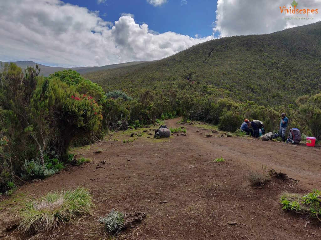 Spectacular vistas enroute Mti Mkubwa to Shira 1 Camp