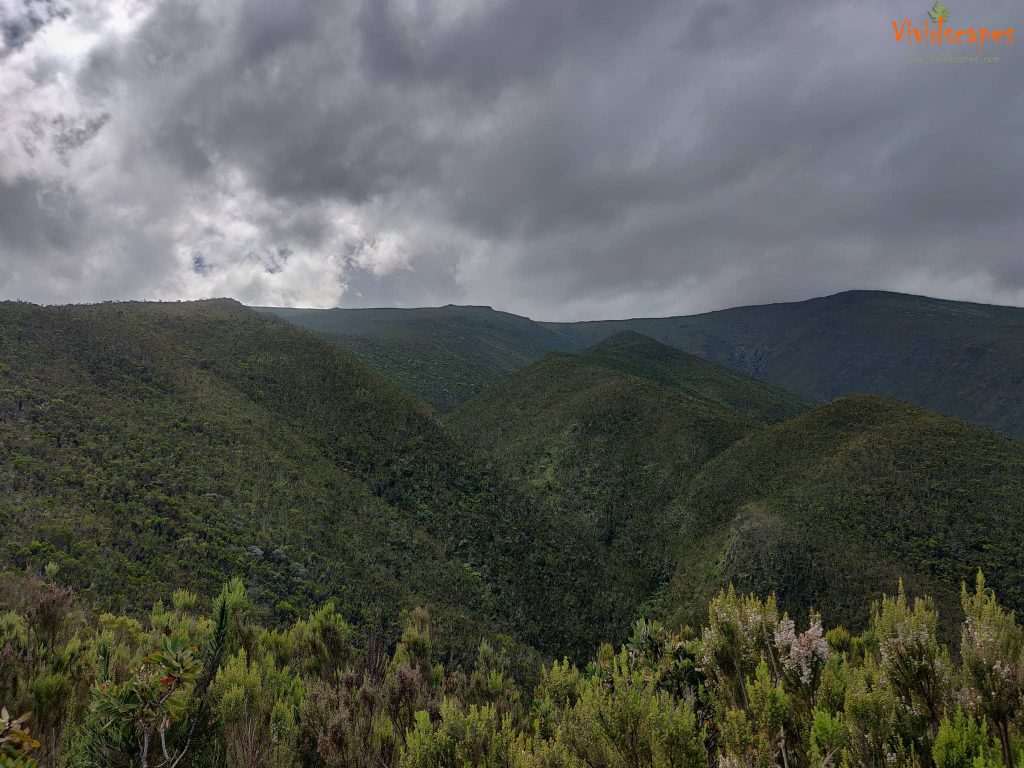 Spectacular vistas enroute Mti Mkubwa to Shira 1 Camp