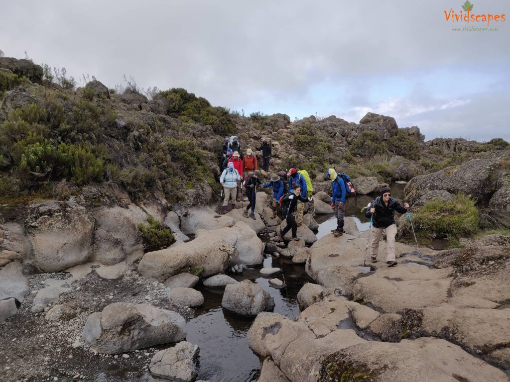 Enroute Shira 1 Camp to Moir Hut