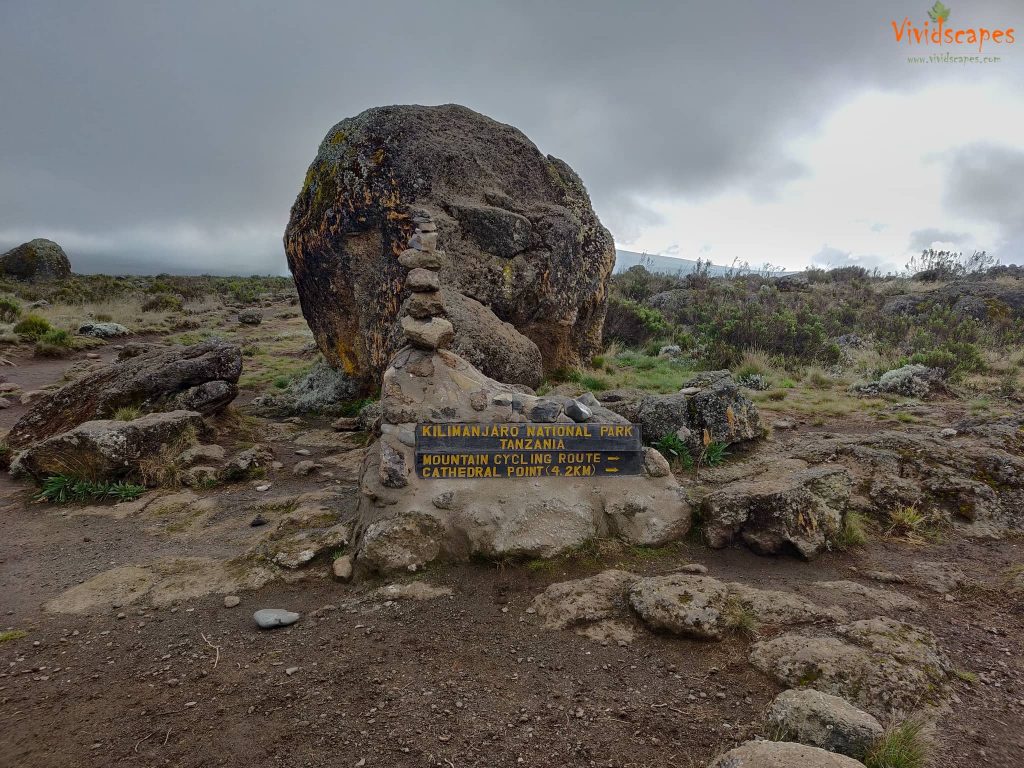 Enroute Shira 1 Camp to Moir Hut