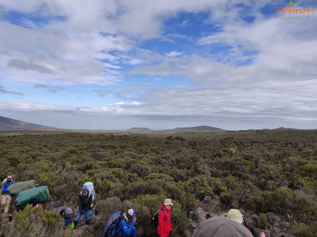 Enroute Shira 1 Camp to Moir Hut