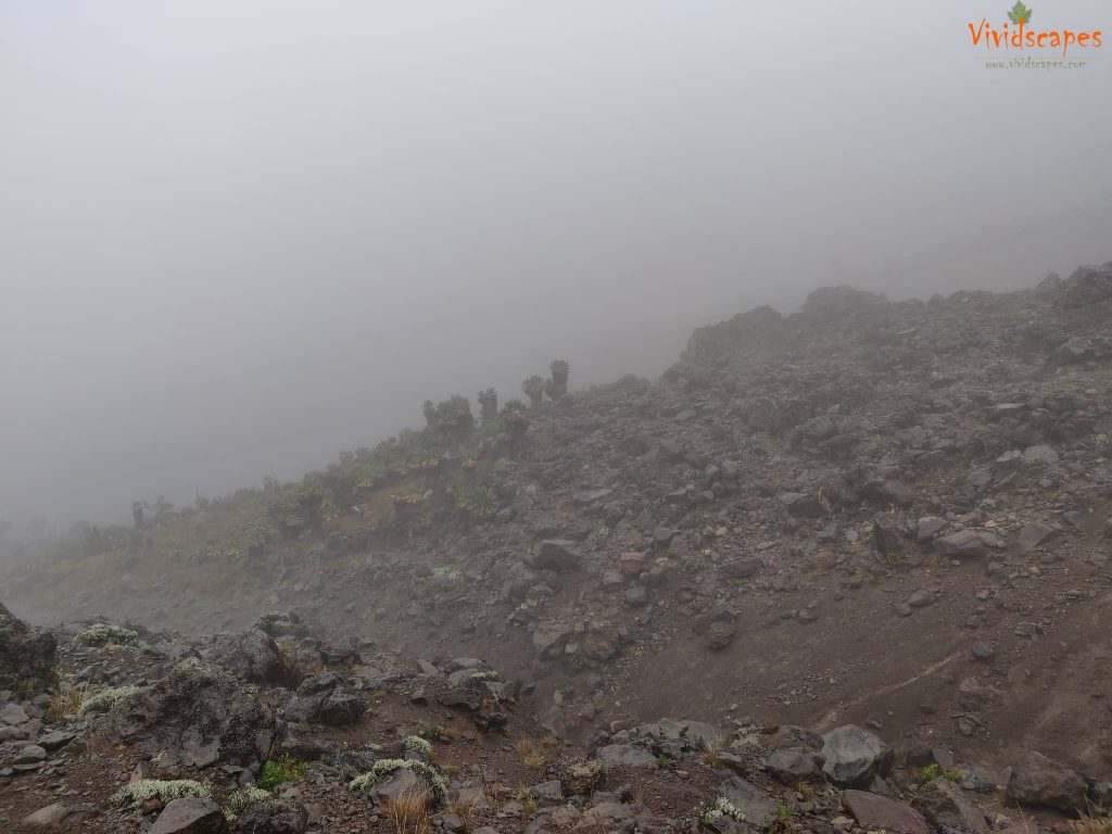 Moir Hut to Lava Tower to Barranco Camp