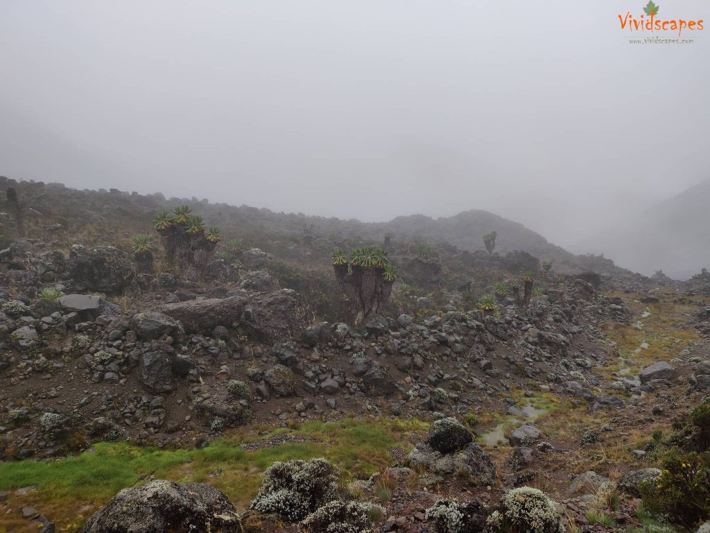 Moir Hut to Lava Tower to Barranco Camp