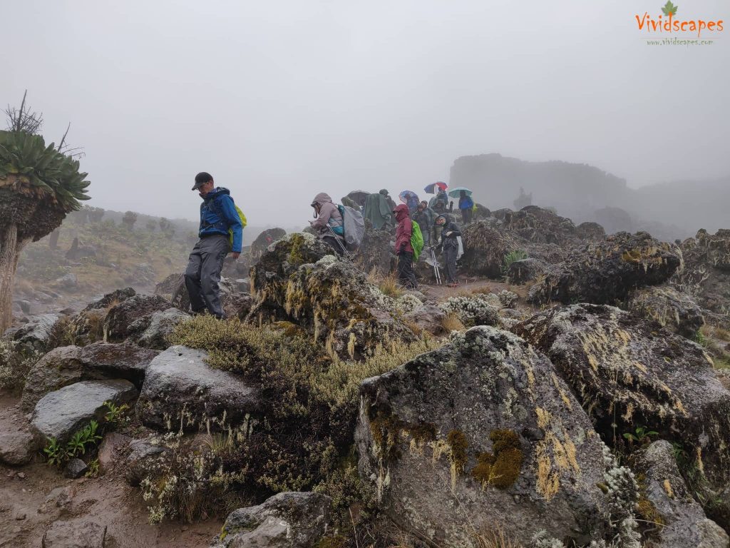 Moir Hut to Lava Tower to Barranco Camp