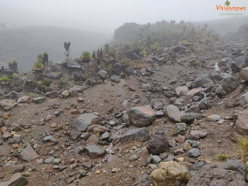 Moir Hut to Lava Tower to Barranco Camp