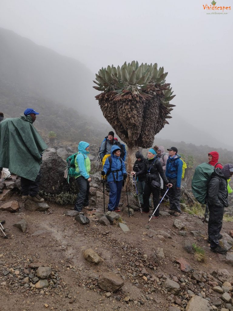 Moir Hut to Lava Tower to Barranco Camp