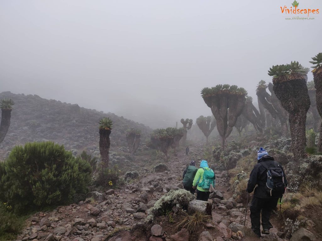 Moir Hut to Lava Tower to Barranco Camp