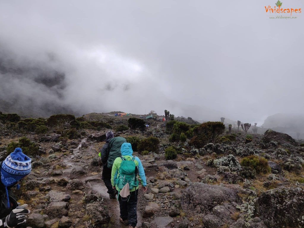 Moir Hut to Lava Tower to Barranco Camp