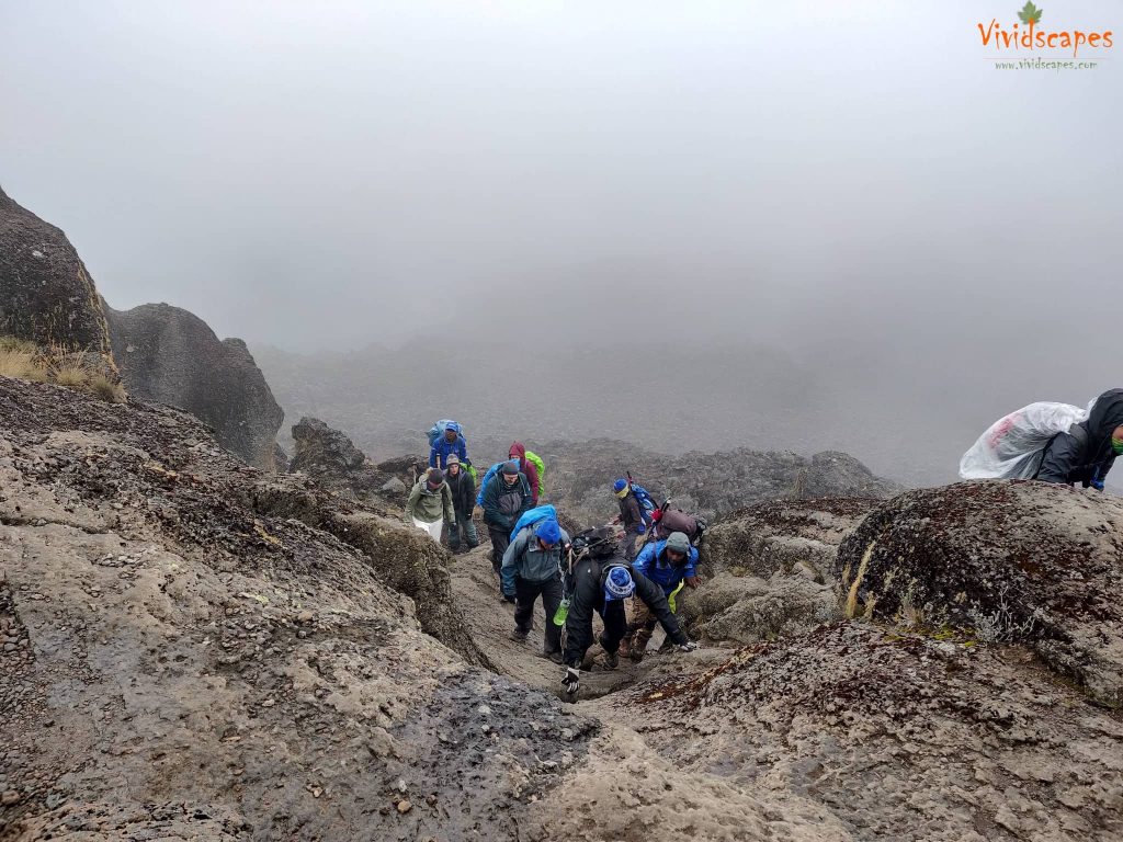 Barranco Camp to Karanga Camp