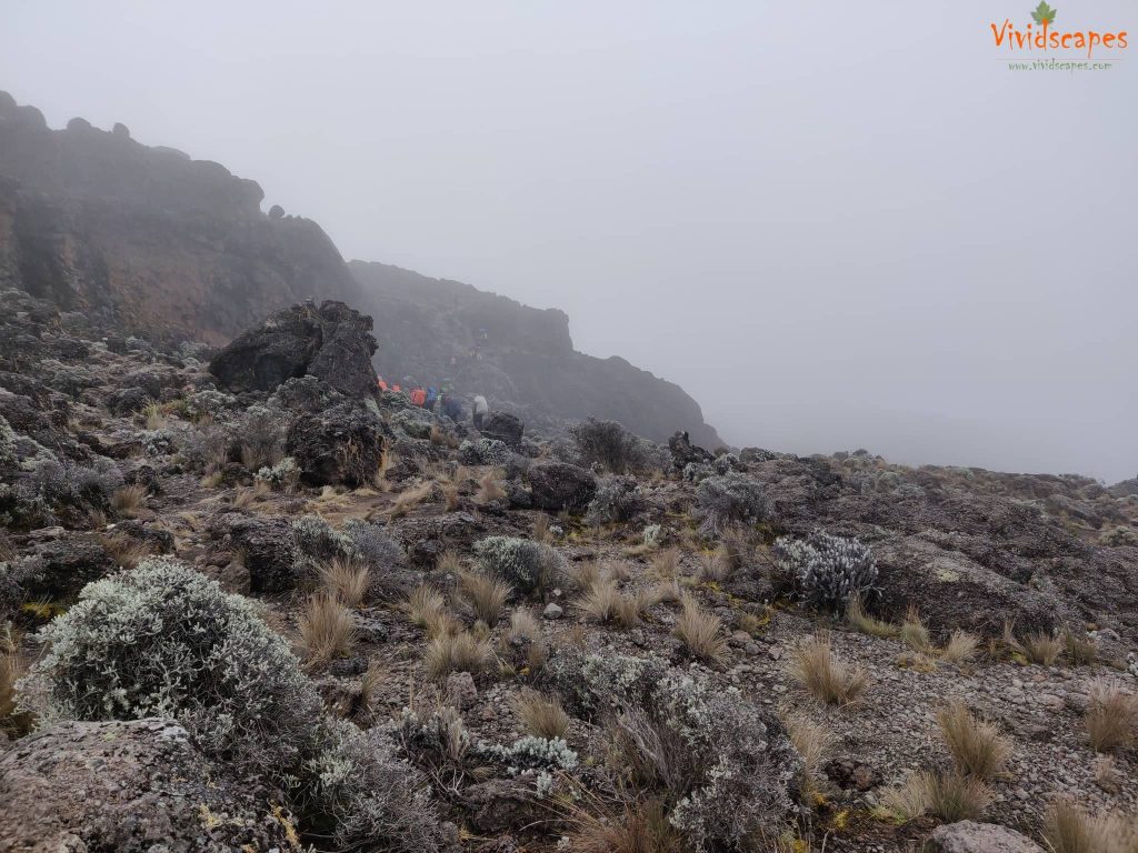 Barranco Camp to Karanga Camp