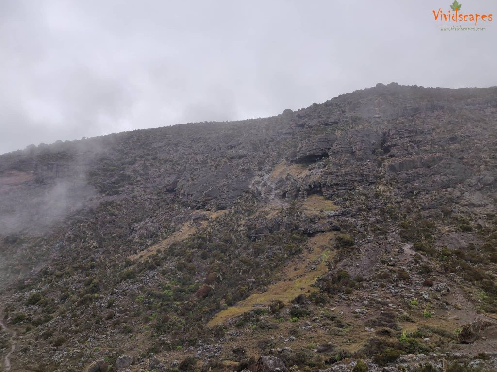 Barranco Camp to Karanga Camp