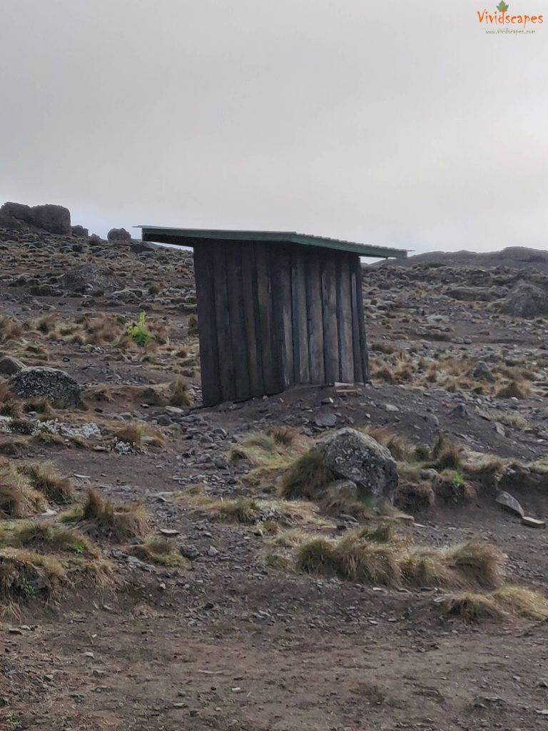 Drop toilet boxes