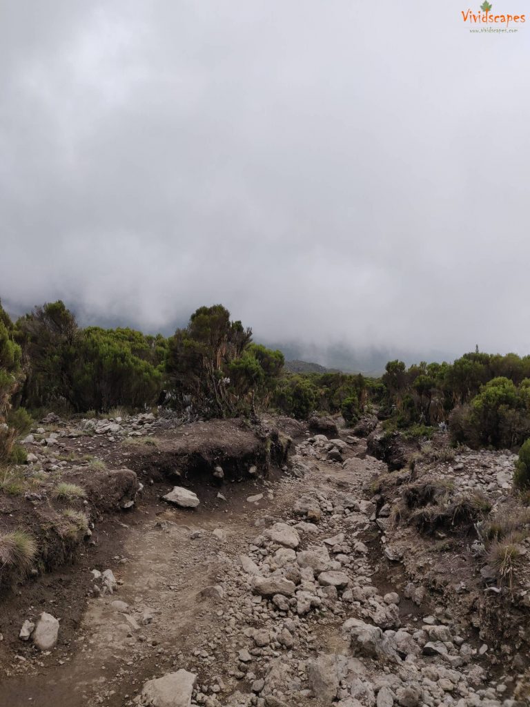 Uhuru Peak to Mweka Camp