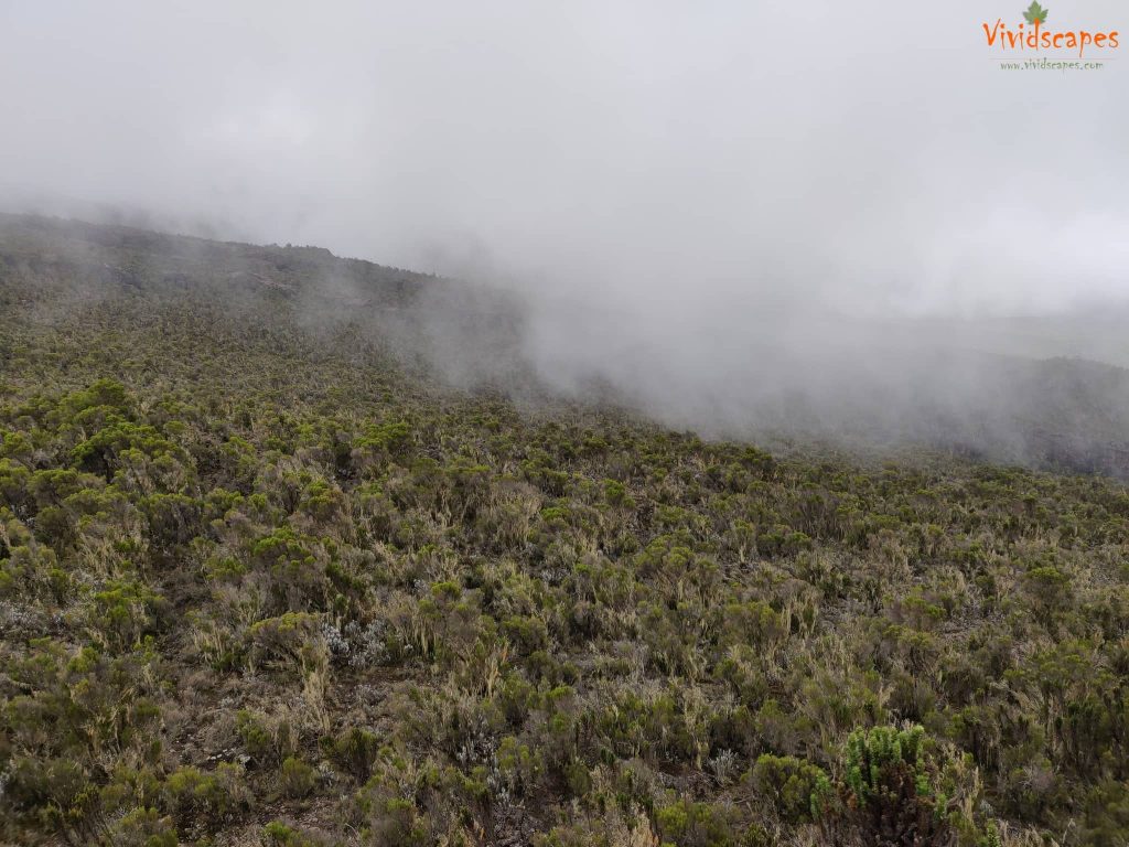 Uhuru Peak to Mweka Camp