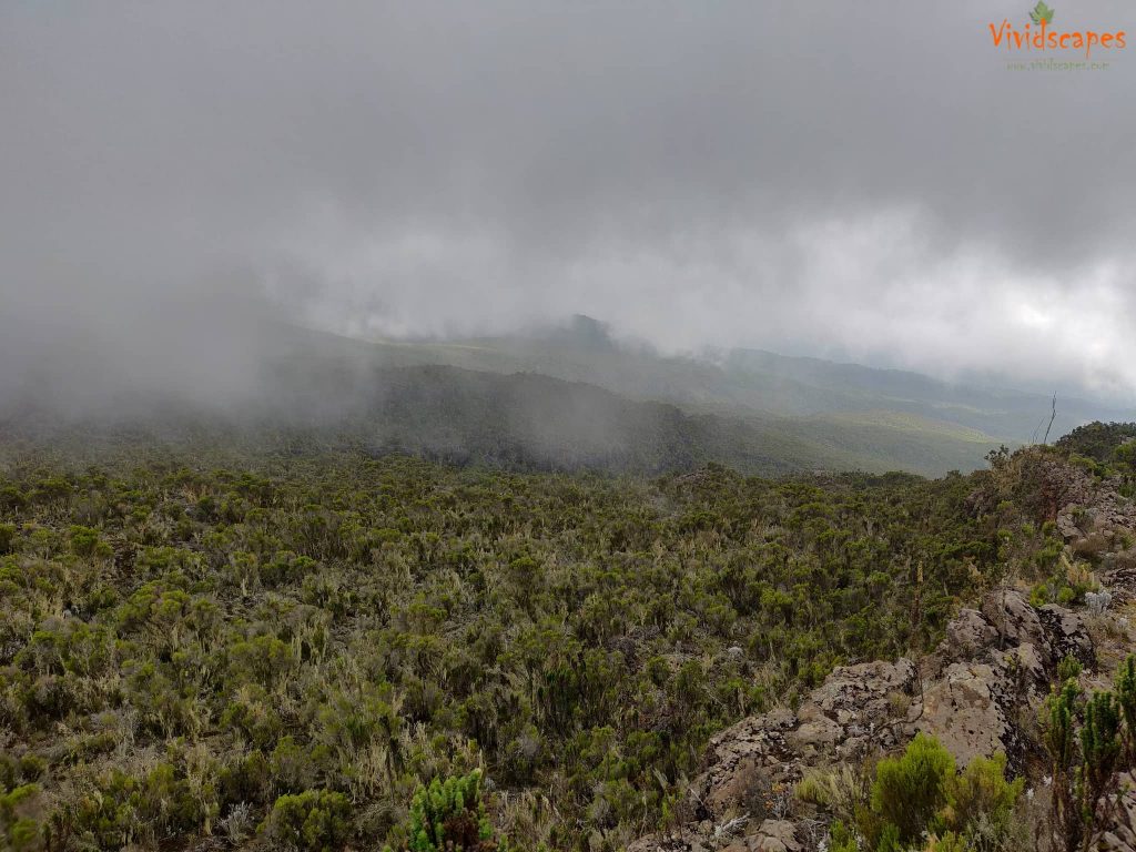 Uhuru Peak to Mweka Camp