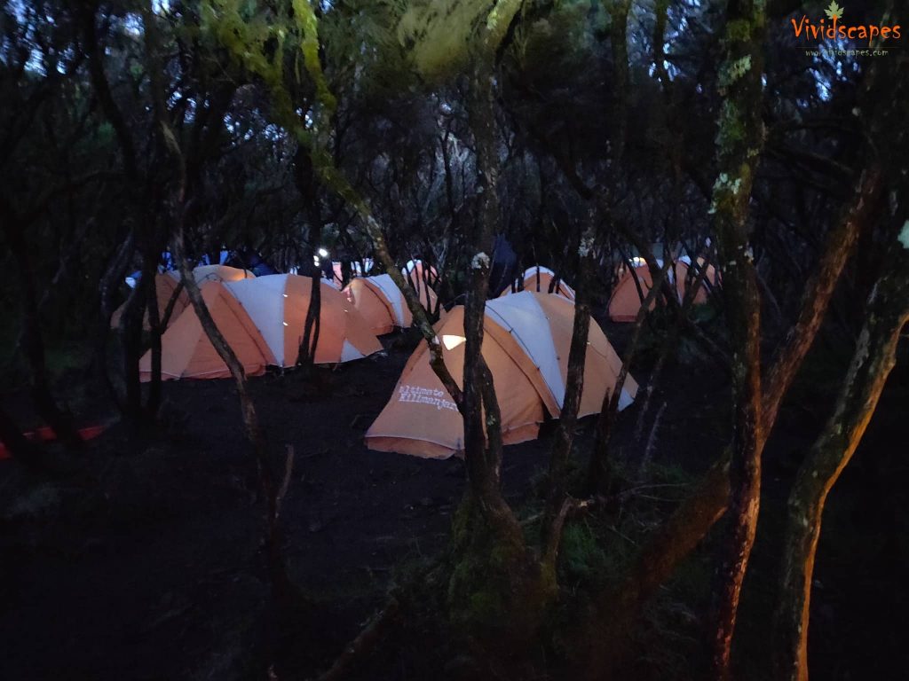 mweka campsite