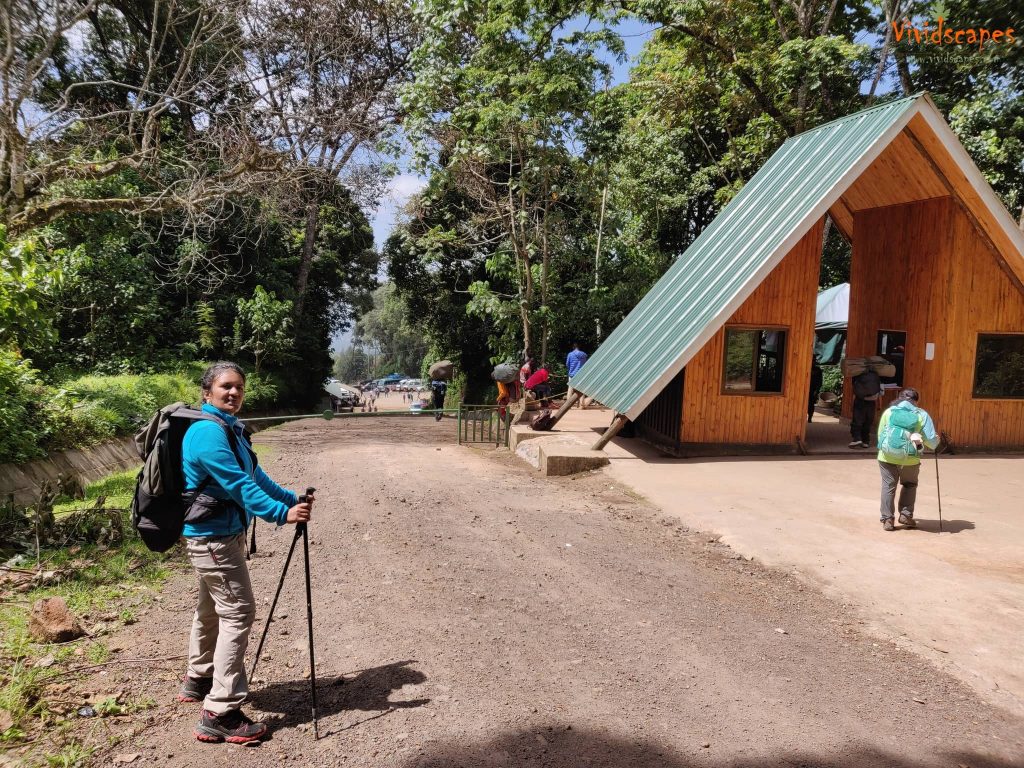 Mweka Camp to Mweka Gate