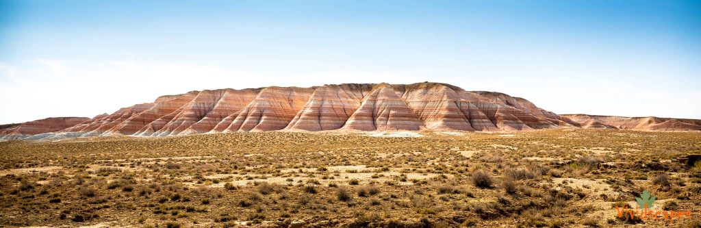 Yangykala Canyon