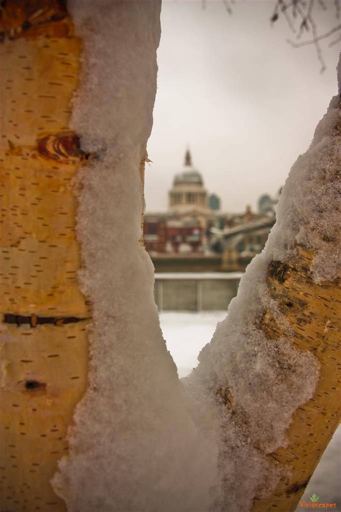 A View Of St Pauls