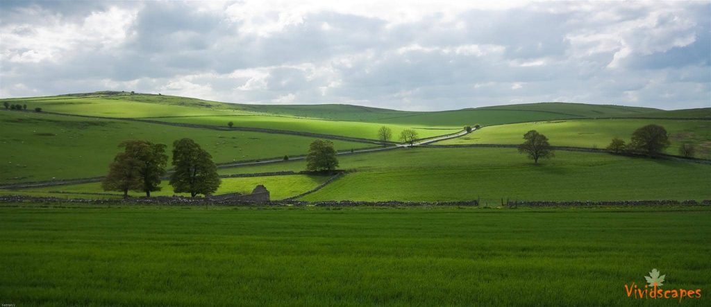 Scenic Meadows