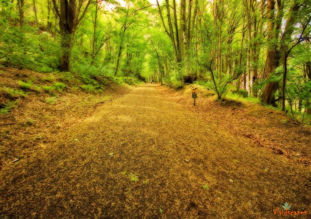 Peak district trail