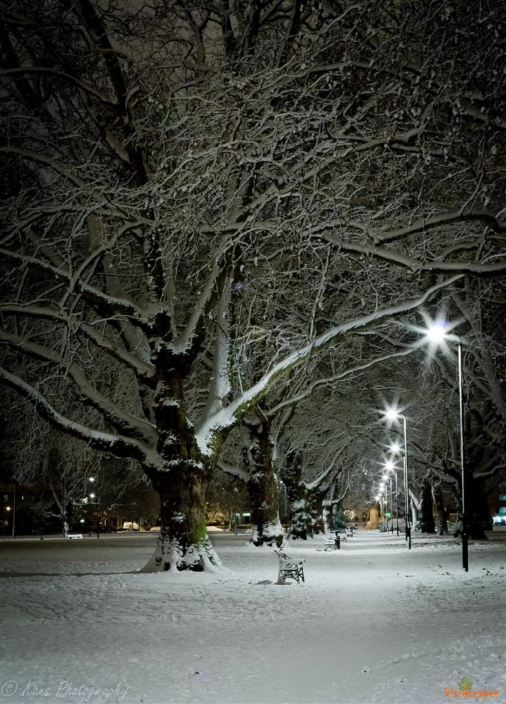 Snow lit walkway